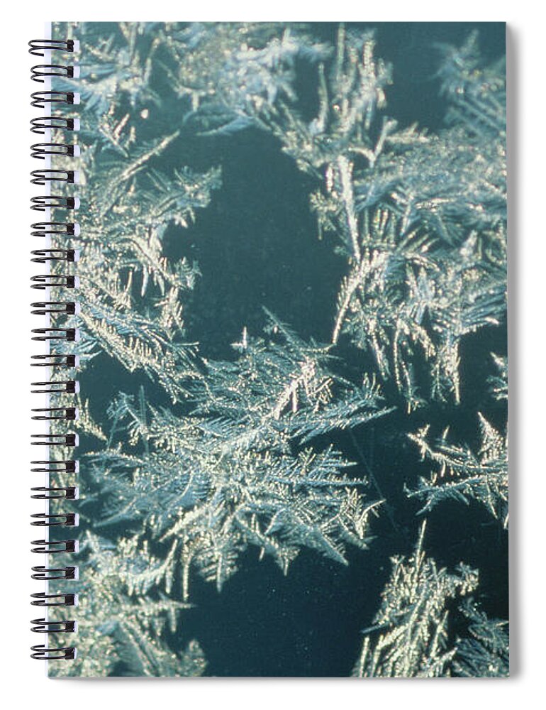 Close-up Spiral Notebook featuring the photograph Snowflakes, Close-up by Joanna Mccarthy