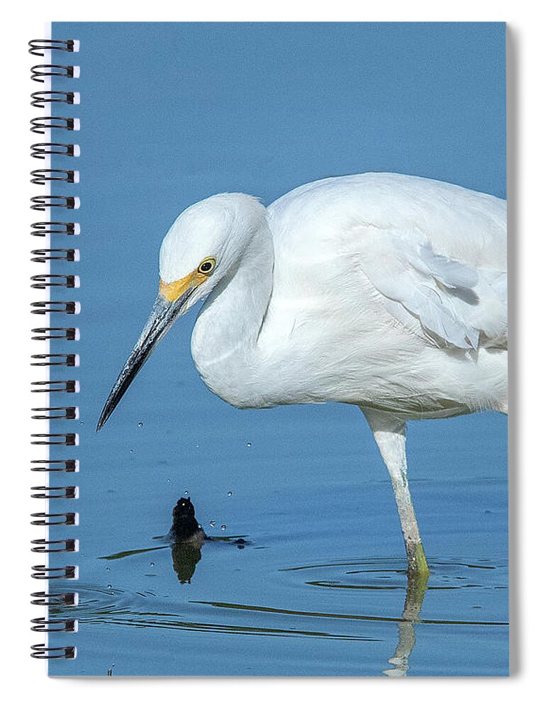 Nature Spiral Notebook featuring the photograph Snowy Egret DMSB0180 by Gerry Gantt