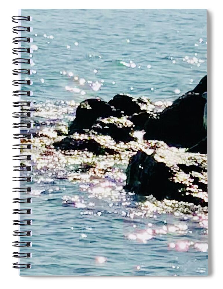 Sea Spiral Notebook featuring the photograph Snowy Egret Watching for Dinner Captiva Island by Shelly Tschupp