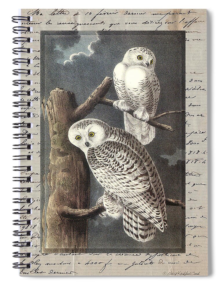  Spiral Notebook featuring the digital art Snowy Owls by Terry Kirkland Cook