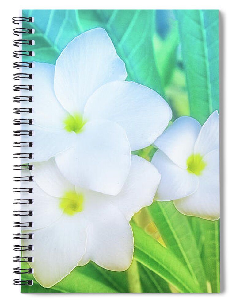 Botanical Spiral Notebook featuring the photograph Soft and Light 12 by Becqi Sherman