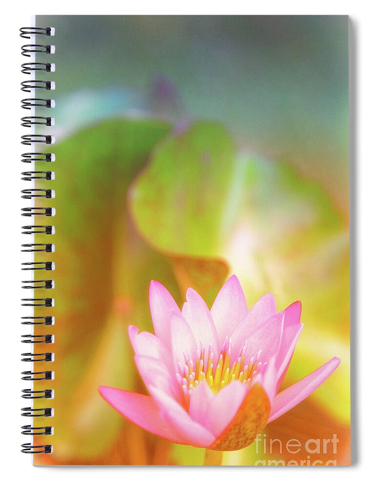 Pink Flower Spiral Notebook featuring the photograph Soft and Light 4 by Becqi Sherman