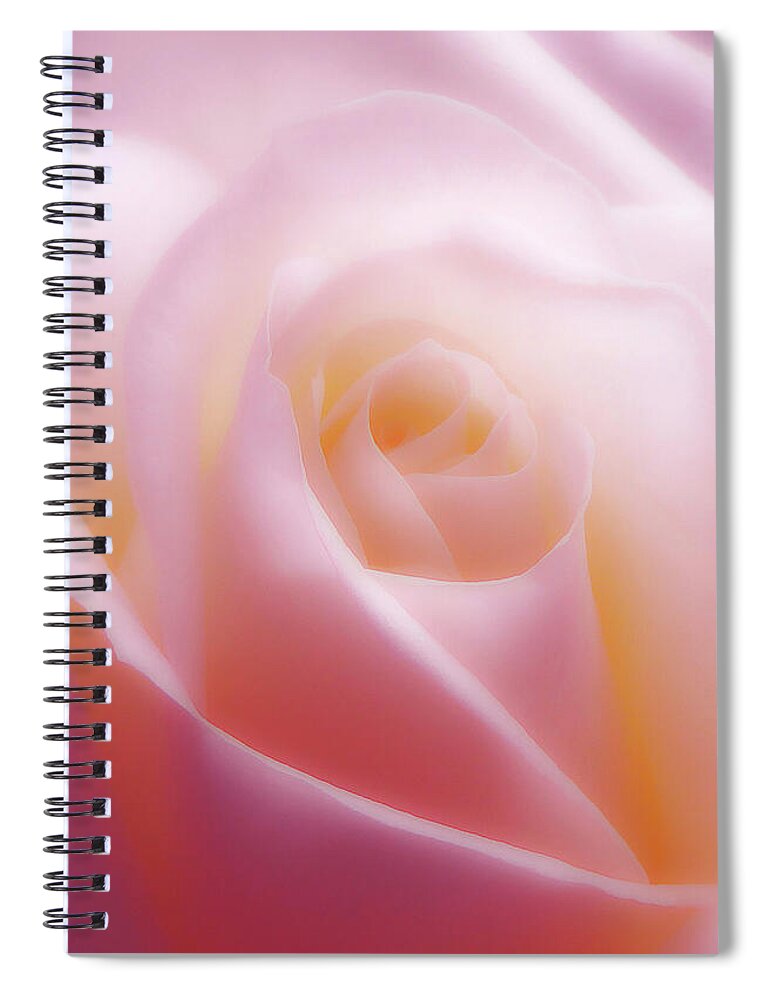 Rose Spiral Notebook featuring the photograph Soft Beauty by Johanna Hurmerinta