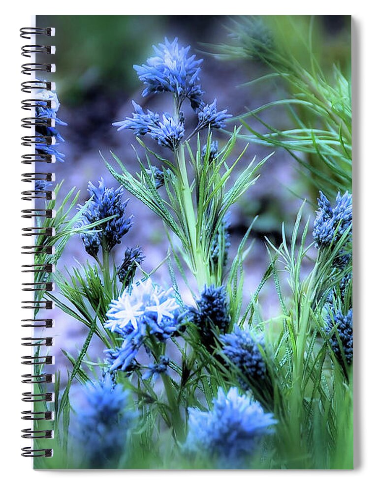 Flowers Spiral Notebook featuring the photograph Soft Blue by Elaine Manley