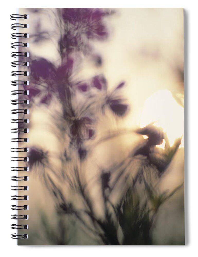 Belgium Spiral Notebook featuring the photograph Soft Focus Image Of A Sunrise With by Dutchy