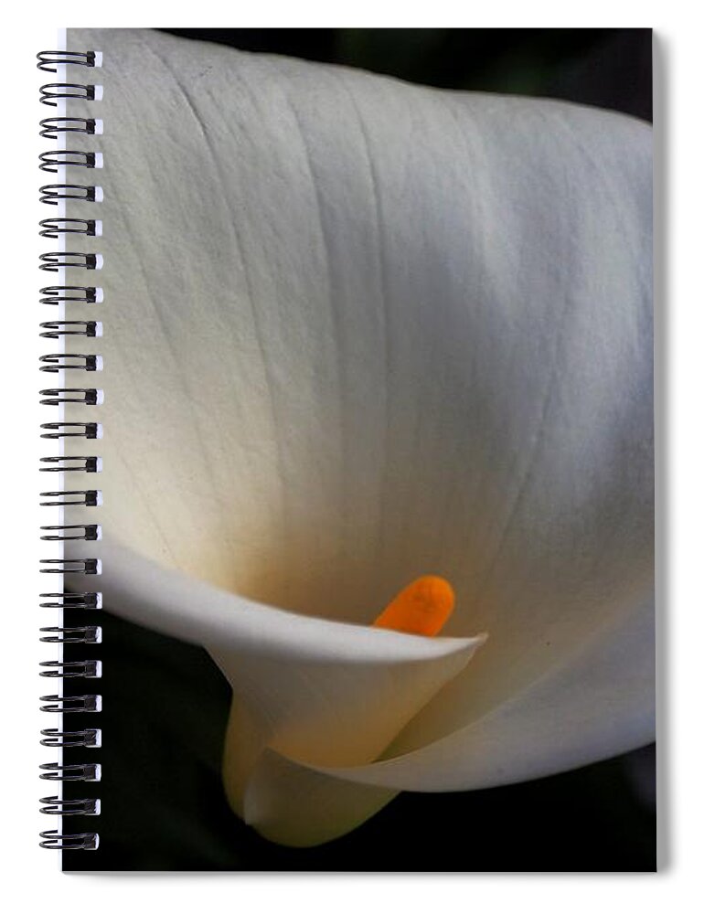 Botanical Spiral Notebook featuring the photograph Soft White Calla Lily by Richard Thomas