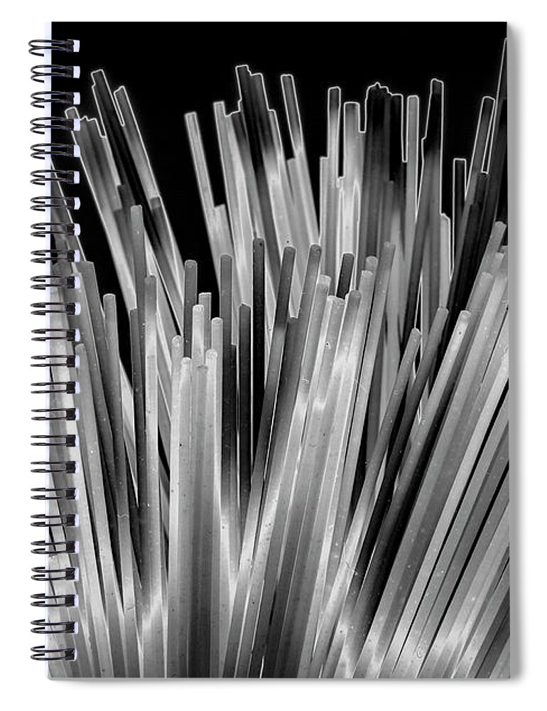 Black & White Spiral Notebook featuring the photograph Solarized Pasta # 3 by Frederic A Reinecke