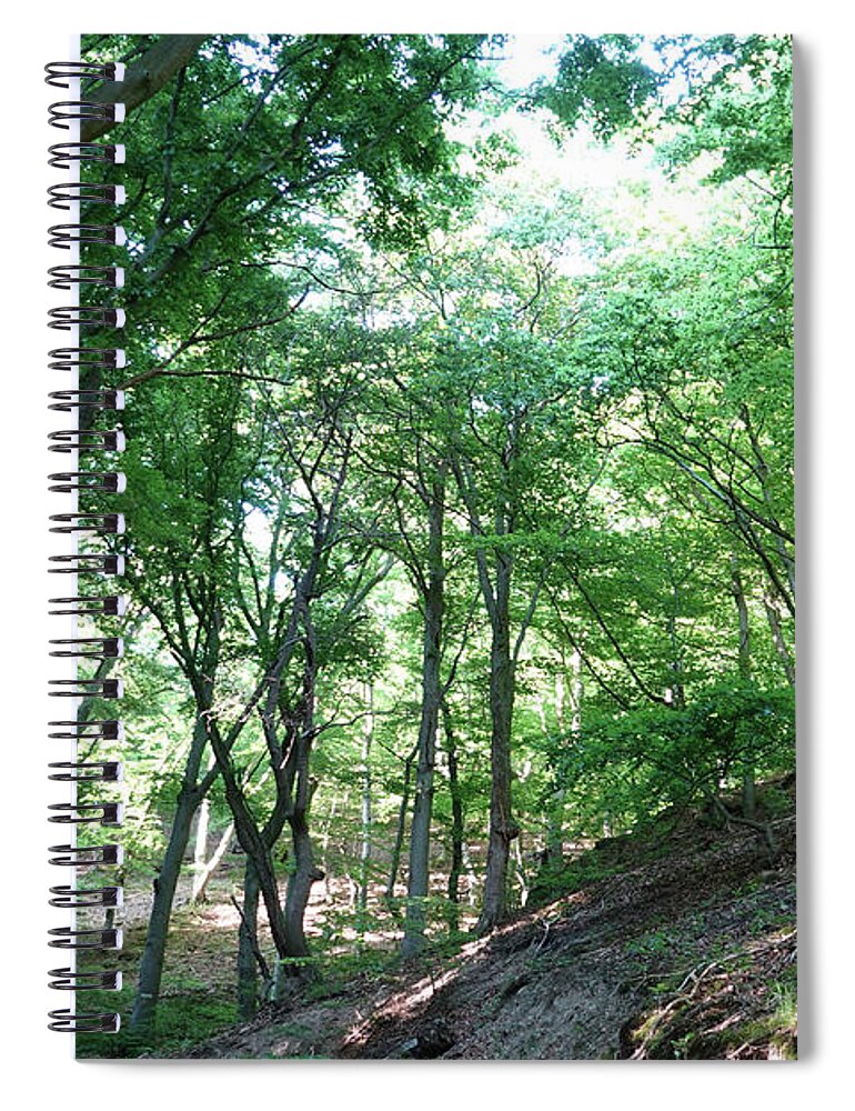 Baum Spiral Notebook featuring the photograph Sommer Wald - Summer Forest by Eva-Maria Di Bella