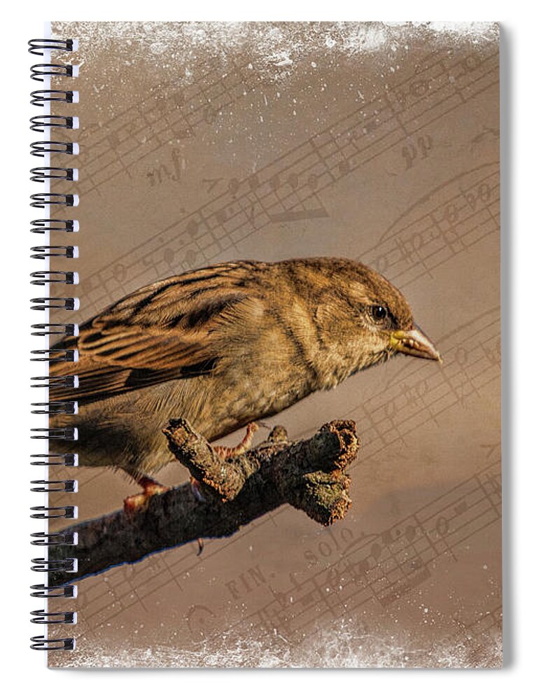 Song Spiral Notebook featuring the photograph Song Bird by Cathy Kovarik