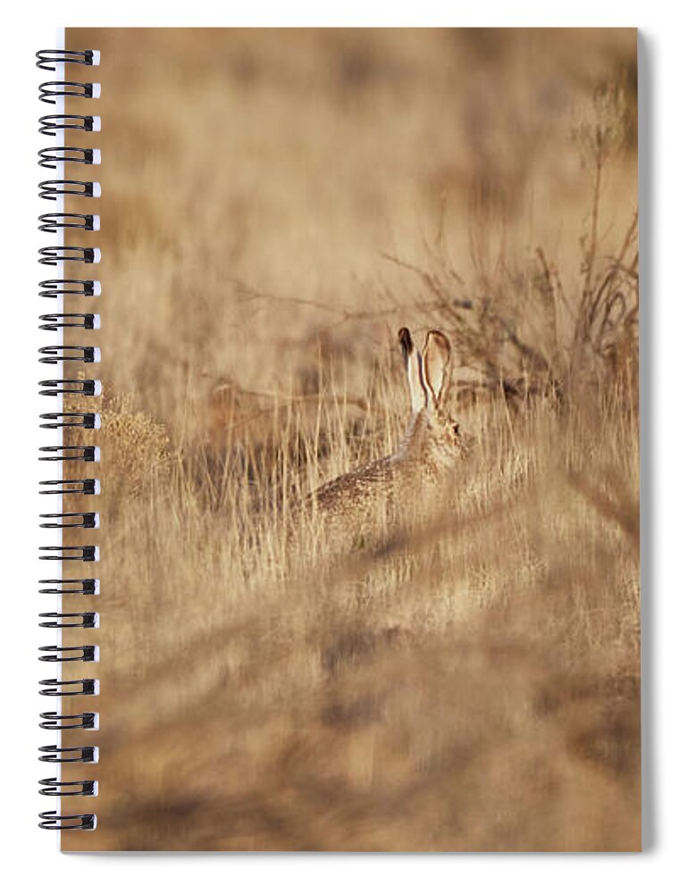 Desert Rabbit Spiral Notebook featuring the photograph Southwest Bunny by Robert WK Clark