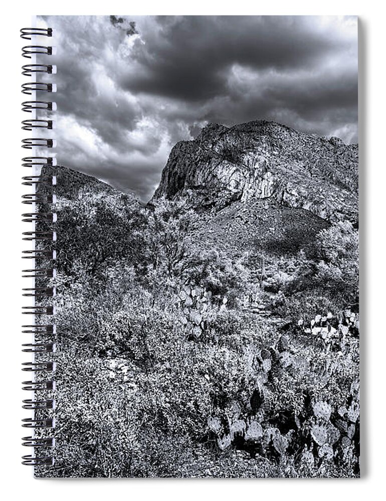 Santa Catalina Spiral Notebook featuring the photograph Southwest Spring m1935 by Mark Myhaver