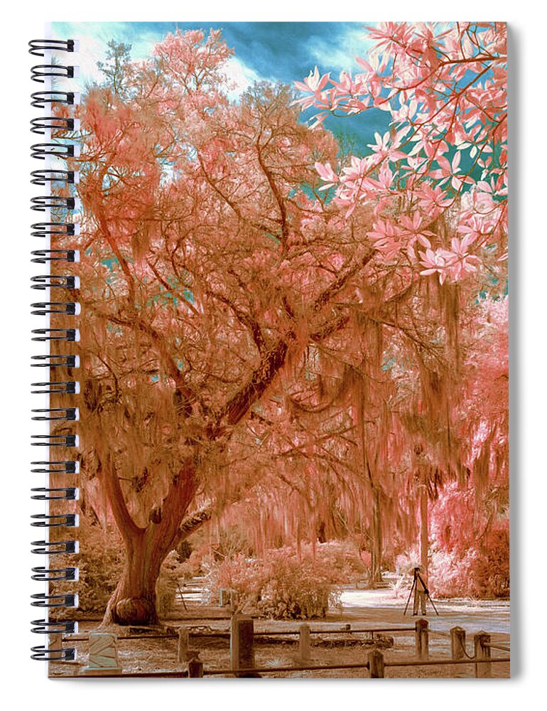 Georgia Spiral Notebook featuring the photograph Spanish moss photographer faux color by Izet Kapetanovic