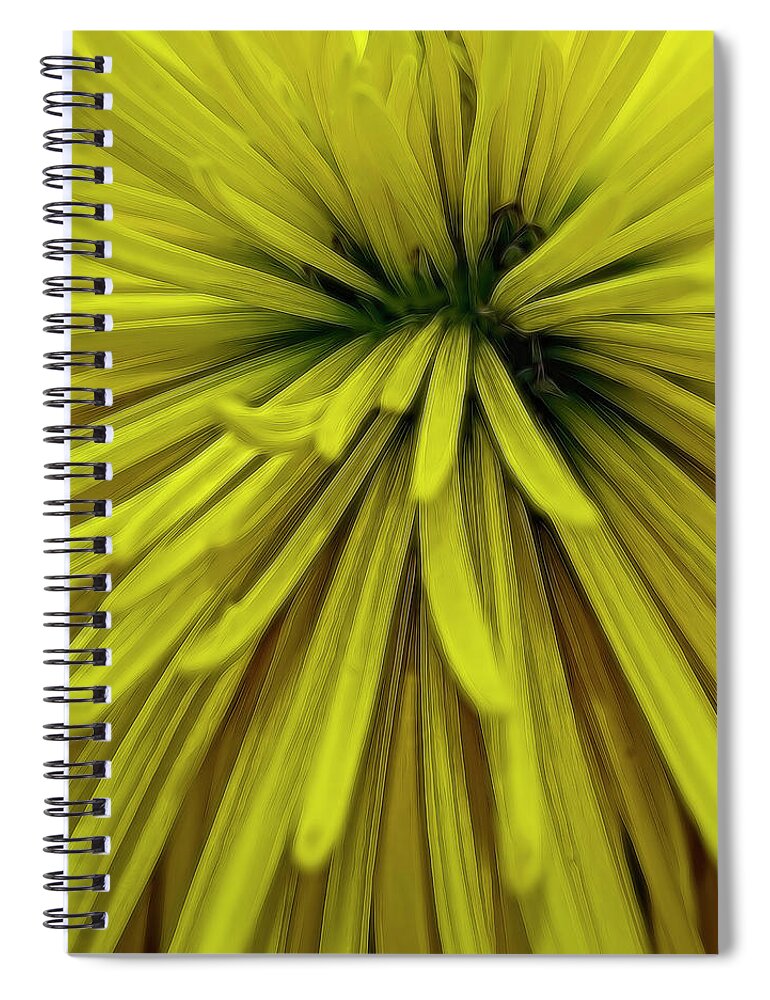 Flower Spiral Notebook featuring the photograph Spider Mum 3983 by Cathy Kovarik