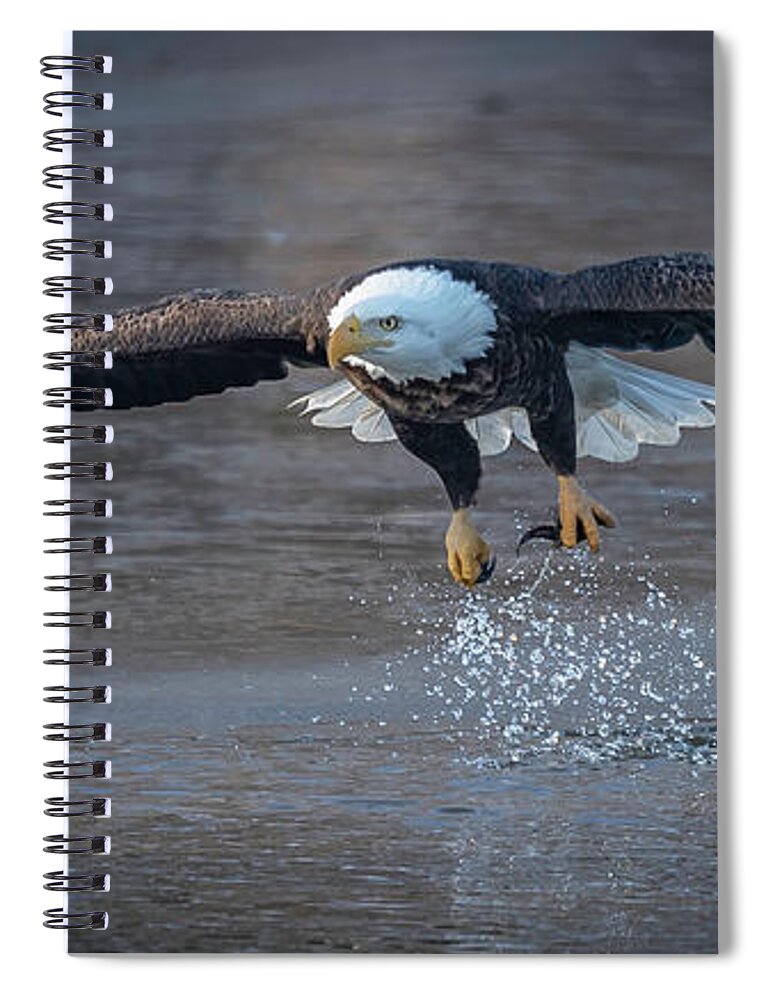 Eagle Spiral Notebook featuring the photograph Splish Splash by Laura Hedien