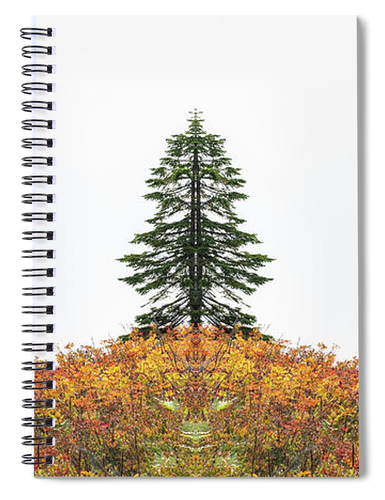 Fall Season Spiral Notebook featuring the digital art Split Tree by Pelo Blanco Photo
