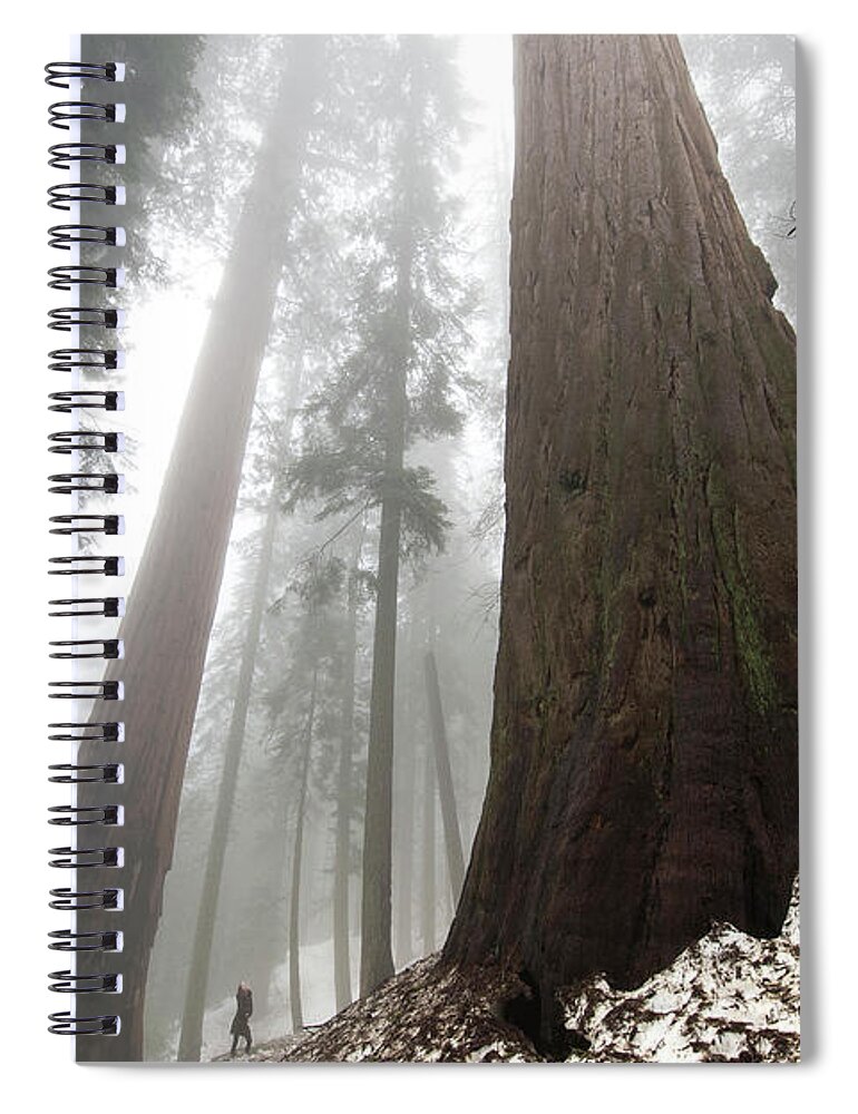 National Park Spiral Notebook featuring the photograph Spot The Human by Steven Keys
