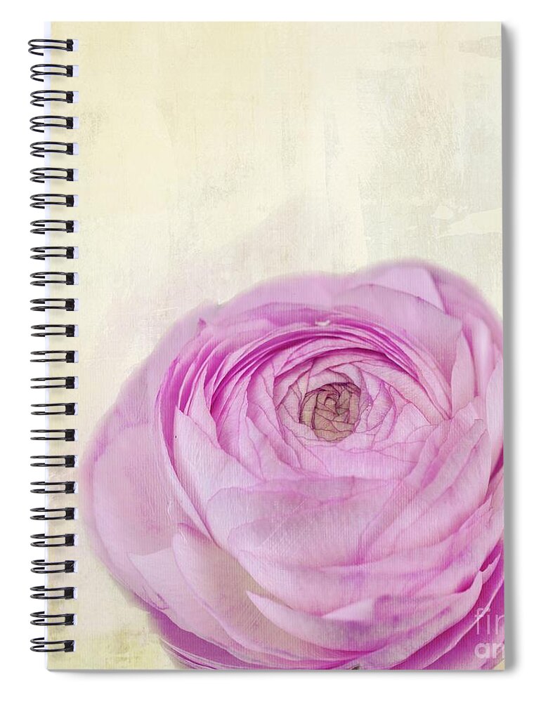 Ranunculus Spiral Notebook featuring the mixed media Spring Beauty by Eva Lechner