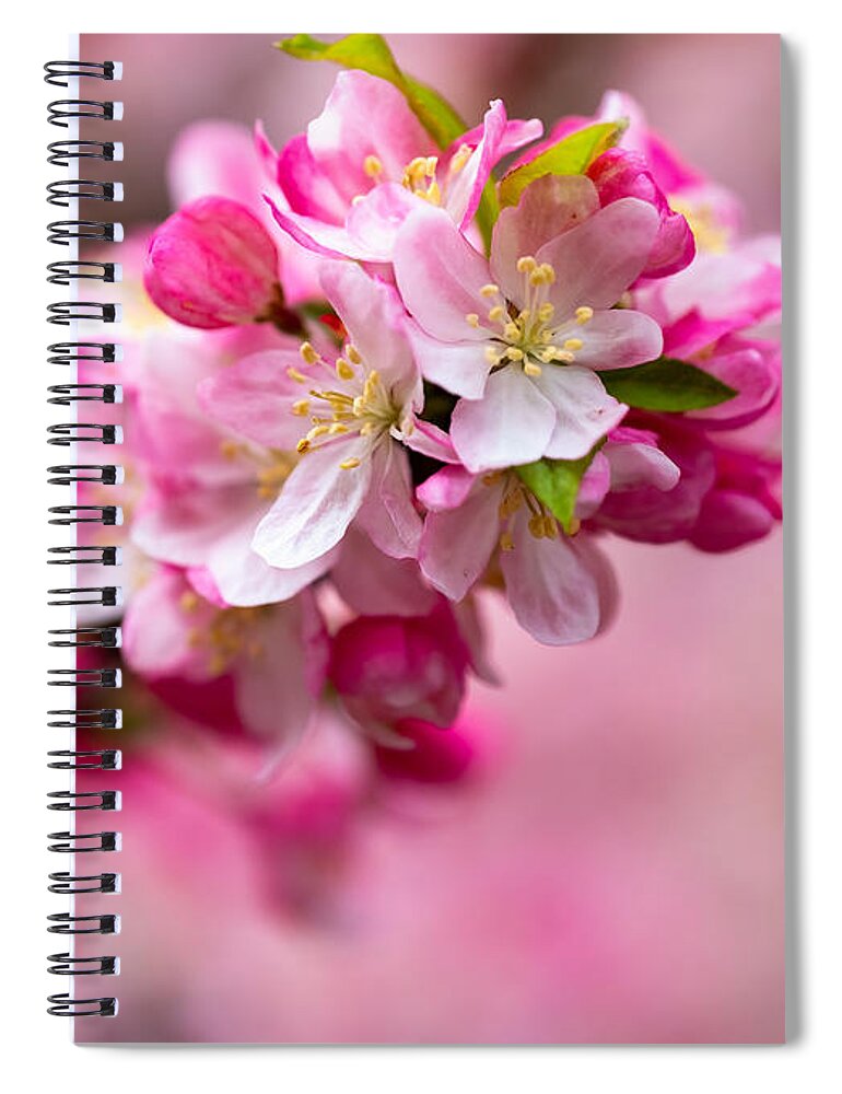 Spring Spiral Notebook featuring the photograph Spring Blooms by Roberta Kayne