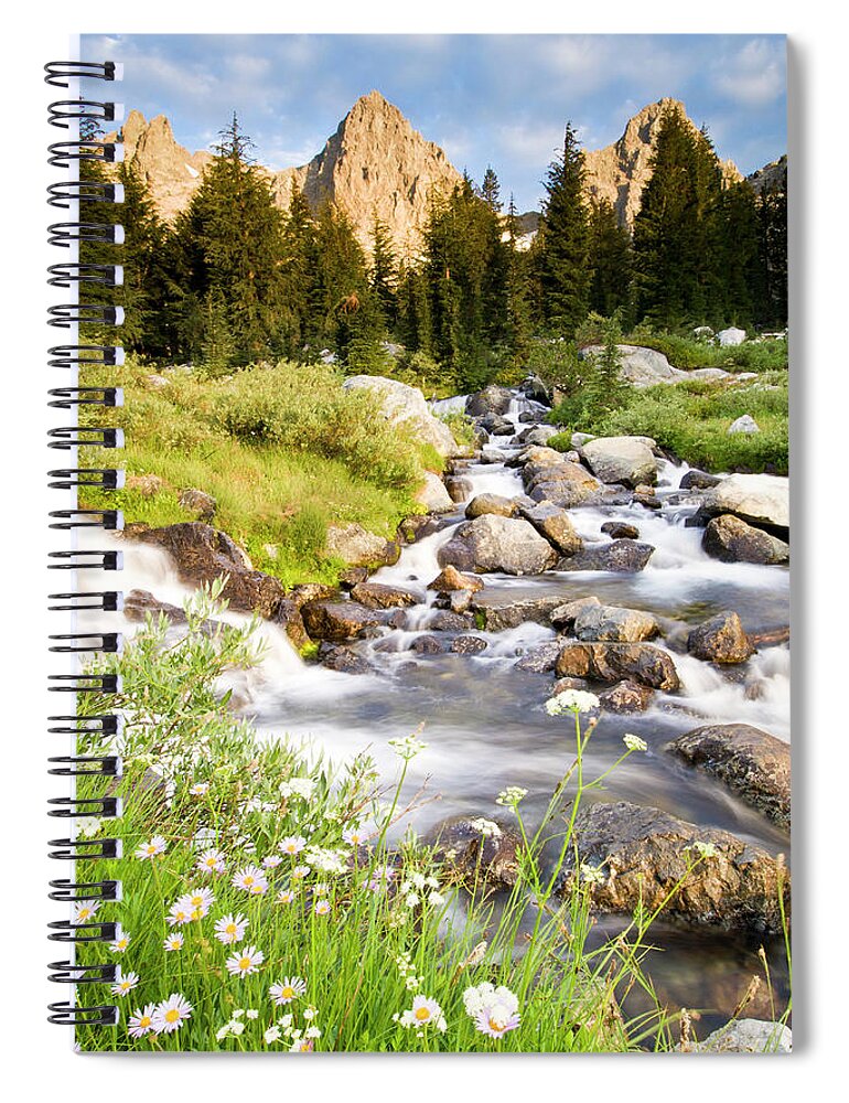 Scenics Spiral Notebook featuring the photograph Spring Flowers And Flowing Water Below by Josh Miller Photography