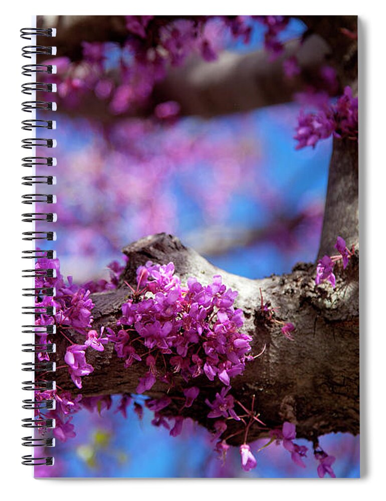 Oklahoma Spiral Notebook featuring the photograph Spring in Oklahoma by Toni Hopper