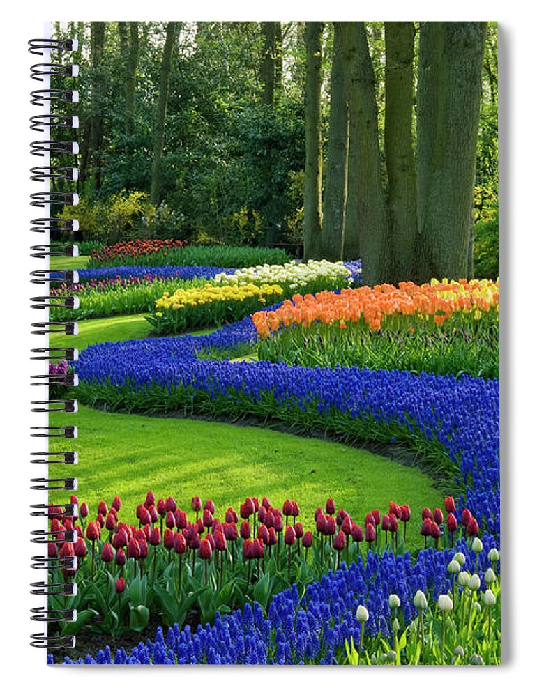 Scenics Spiral Notebook featuring the photograph Spring In The Park by Jacobh