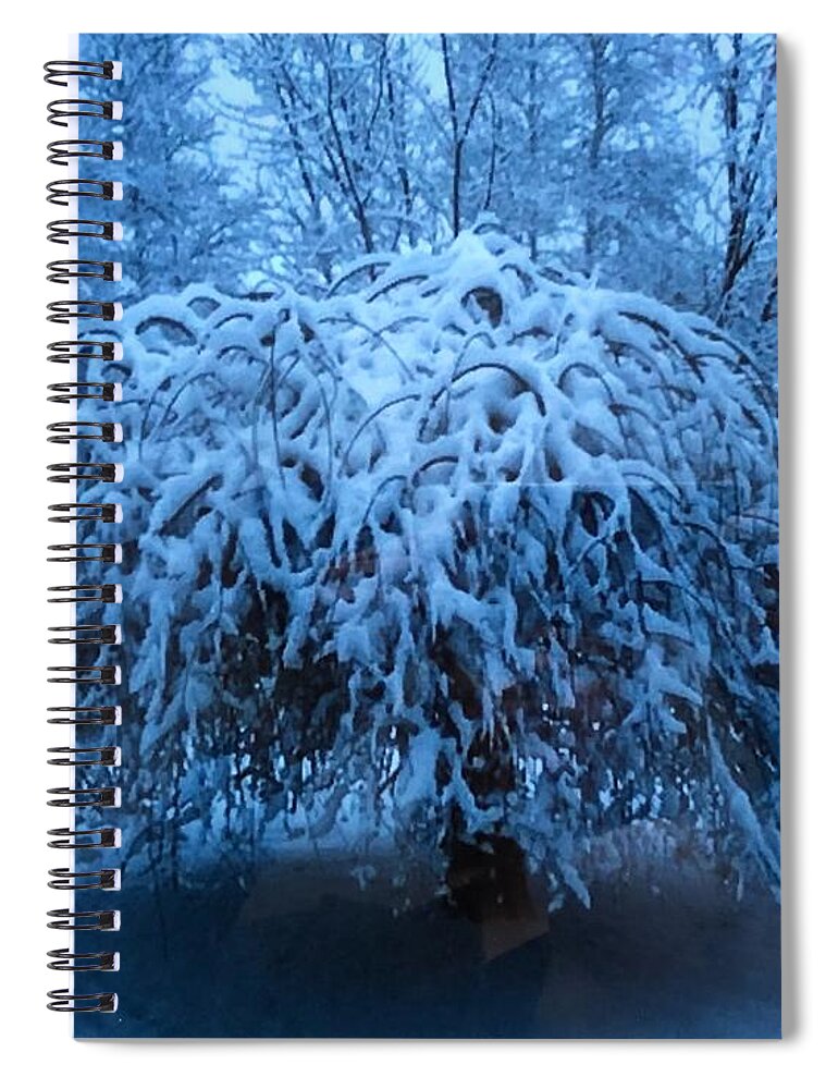 Tree Spiral Notebook featuring the photograph Spring Snow by Kate Conaboy