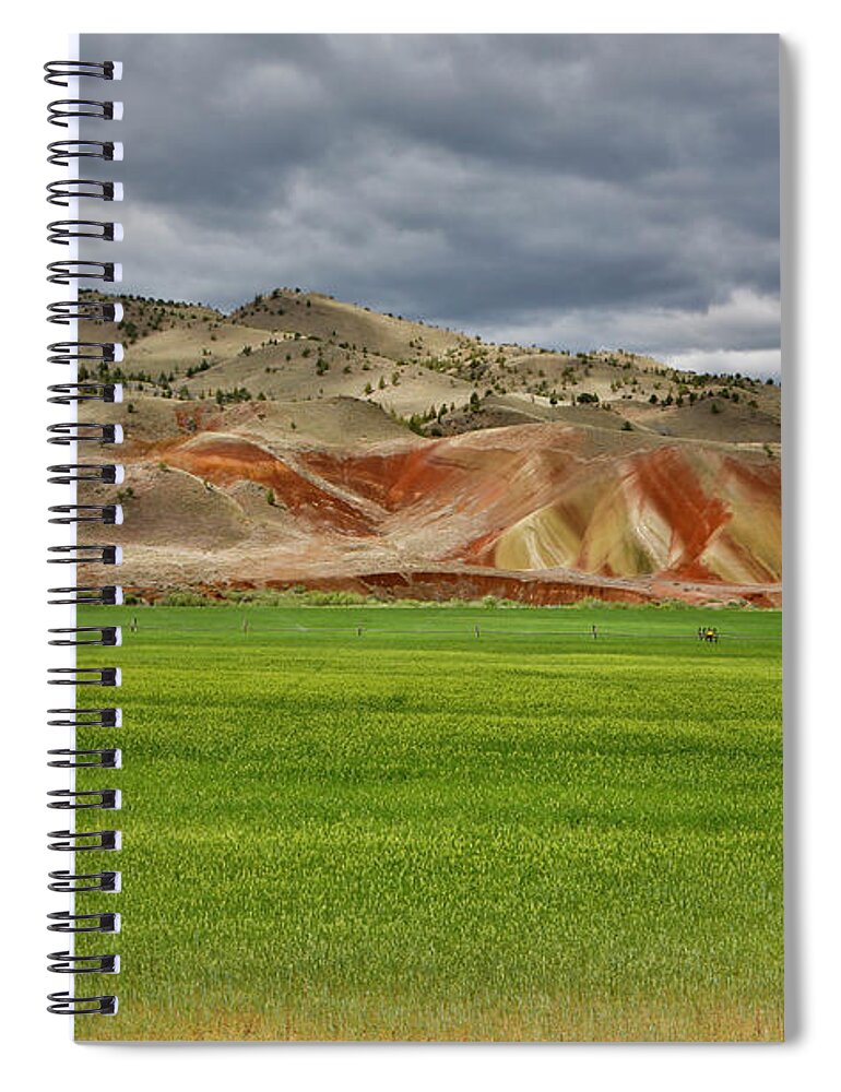 Scenics Spiral Notebook featuring the photograph Springtime Grass Near Painted Hills by Darrell Gulin