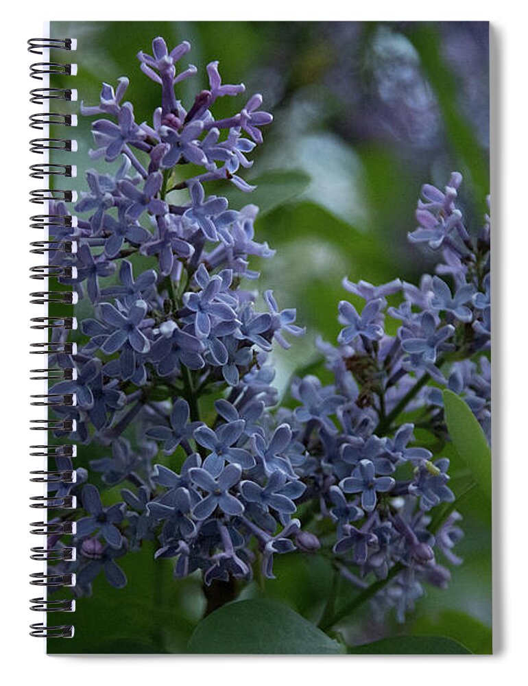 Close Up Spiral Notebook featuring the photograph Springtime Lilac by Jeff Folger