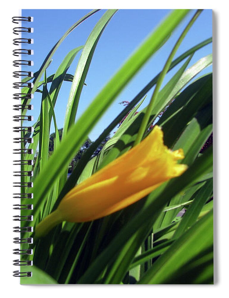 Spring Flower Spiral Notebook featuring the photograph Spring Flower by Jaeda DeWalt