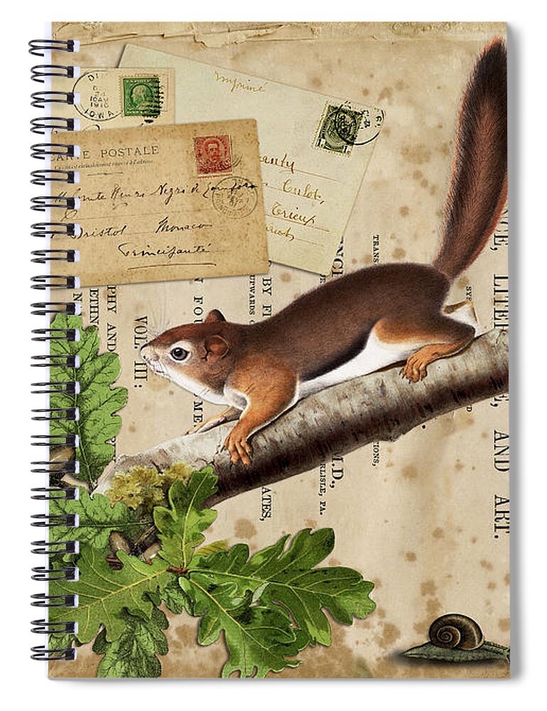  Spiral Notebook featuring the digital art Squirrel Nuts by Terry Kirkland Cook