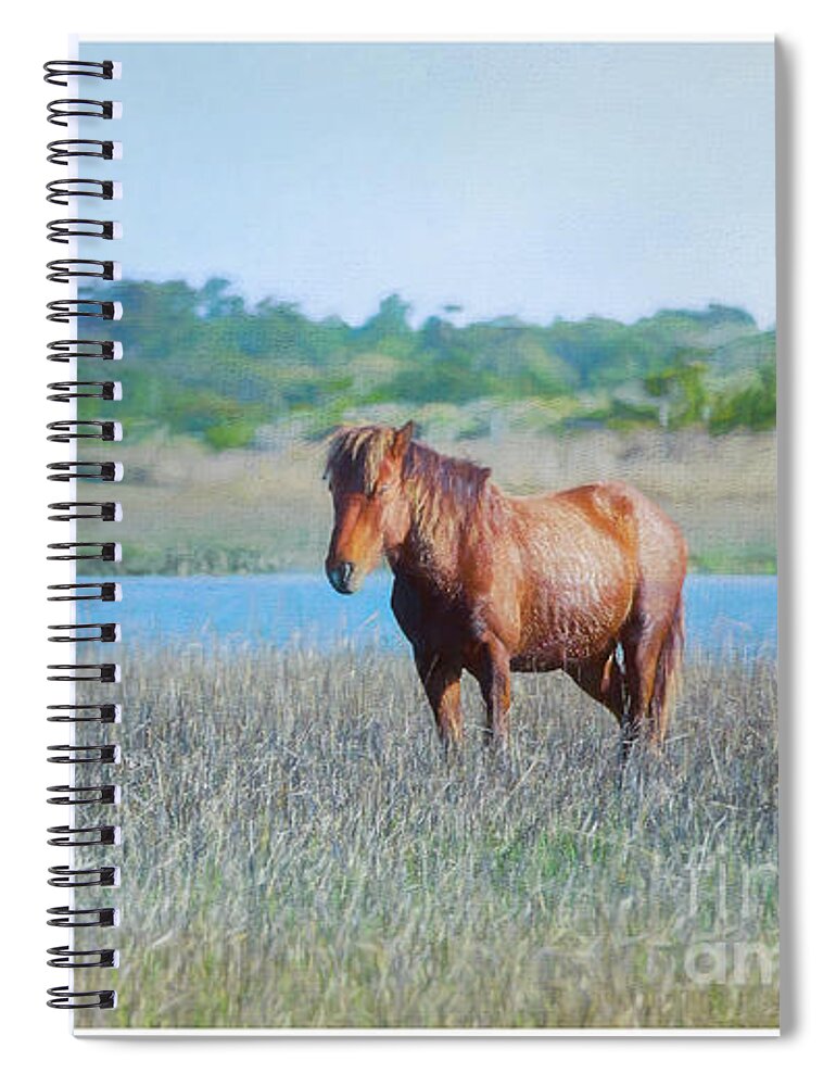 Wild Spiral Notebook featuring the photograph Wild Horse of Outerbanks photograph by JBK Photo Art