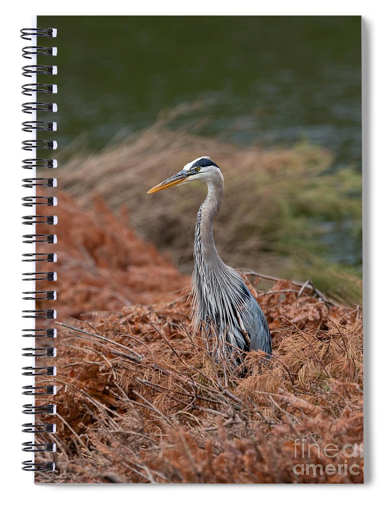 Photography Spiral Notebook featuring the photograph Standing Tall Heron by Alma Danison