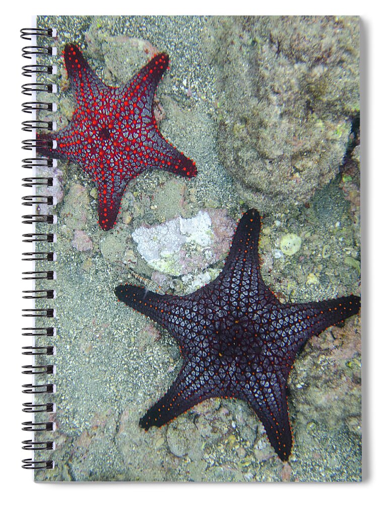 Underwater Spiral Notebook featuring the photograph Starfish Underwater by Keith Levit / Design Pics