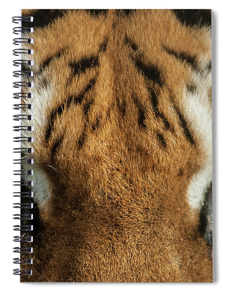 One Animal Spiral Notebook featuring the photograph Staring Into The Eyes Of Danger by M Bilton