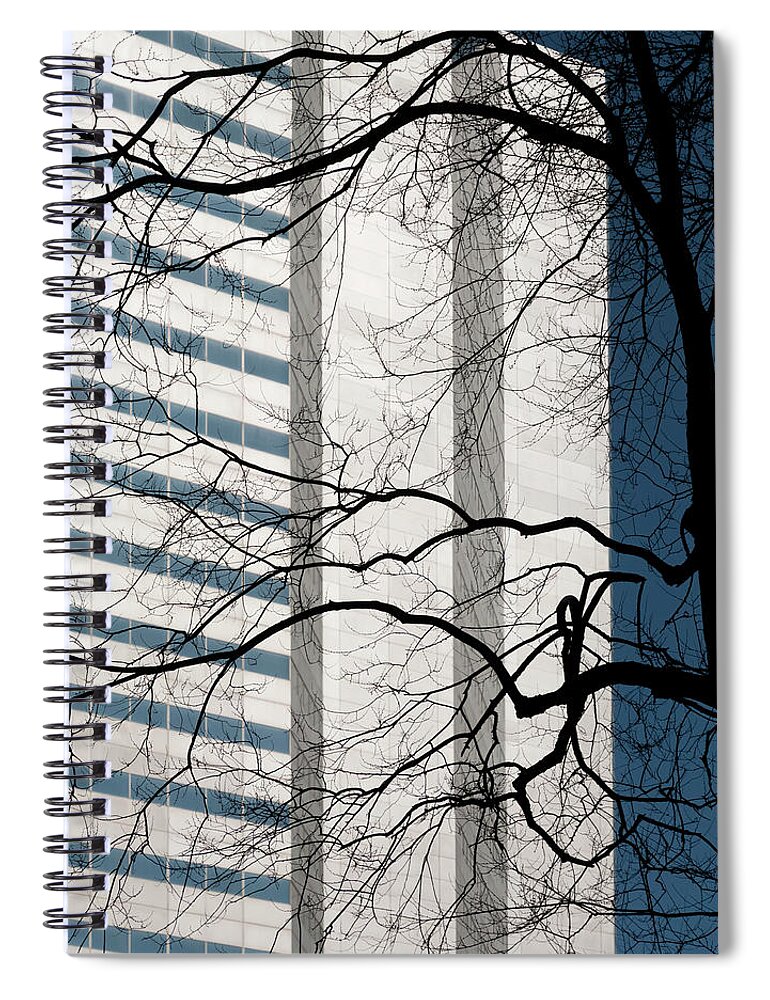 Empty Spiral Notebook featuring the photograph Stark Bare Trees And Office Building by Stuart Mccall
