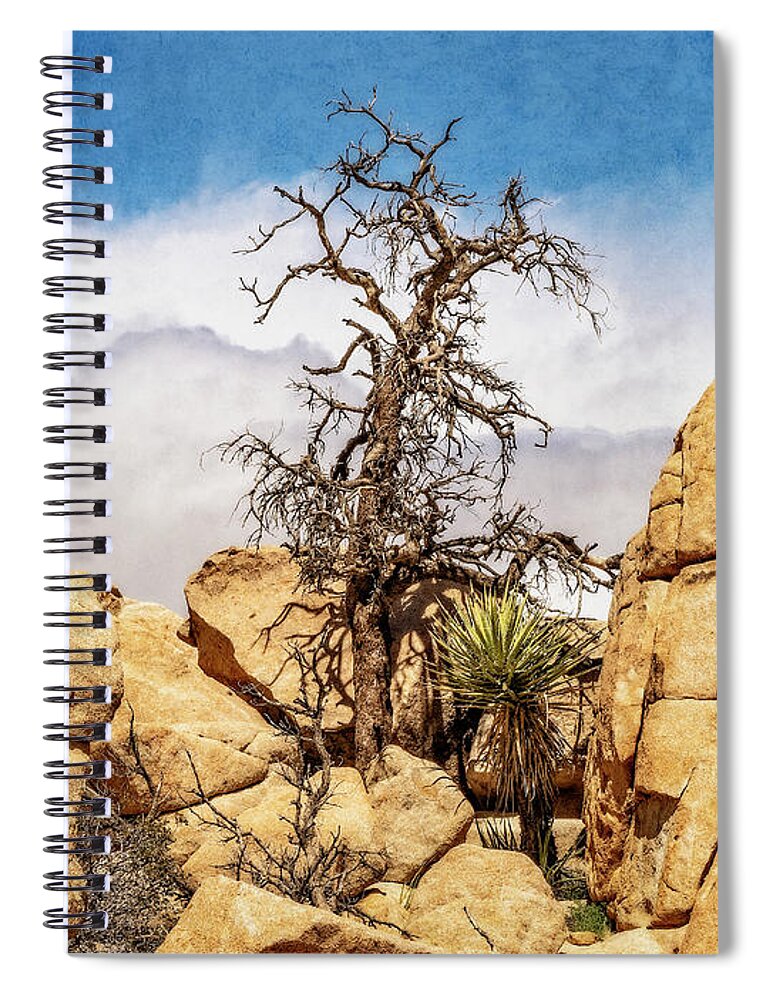 Joshua Tree National Park Spiral Notebook featuring the photograph Still Beautiful by Sandra Selle Rodriguez