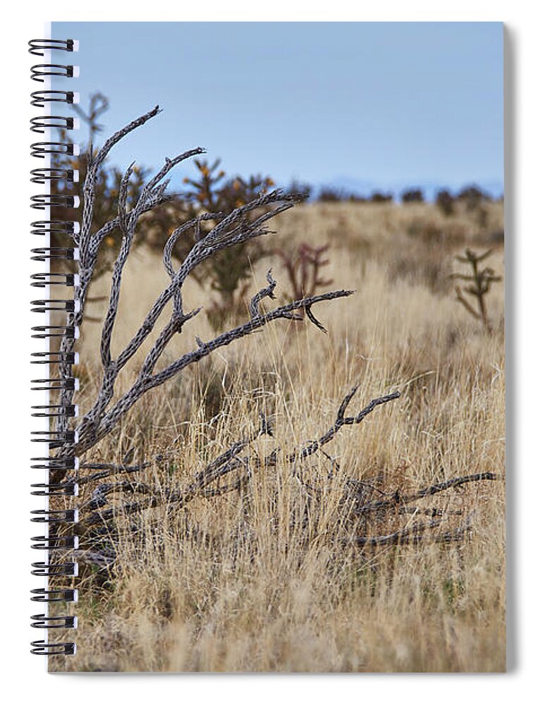 New Mexico Desert Spiral Notebook featuring the photograph Still Life In The Mesa by Robert WK Clark