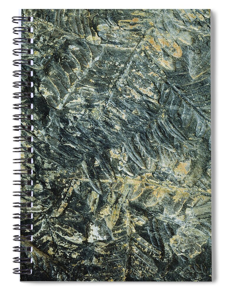 Mineral Spiral Notebook featuring the photograph Stone Imprint by David Wasserman