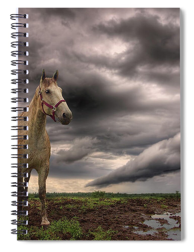 Horse Spiral Notebook featuring the photograph Storm Coming by Johanne Dauphinais