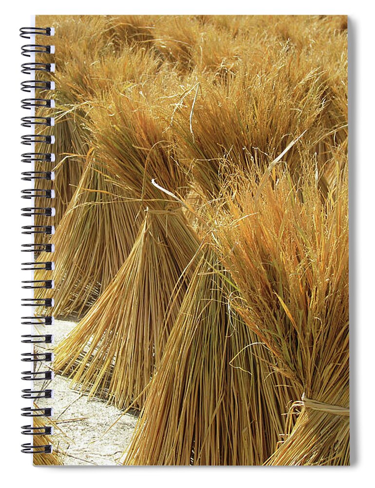 Outdoors Spiral Notebook featuring the photograph Straw by Brian Kennedy