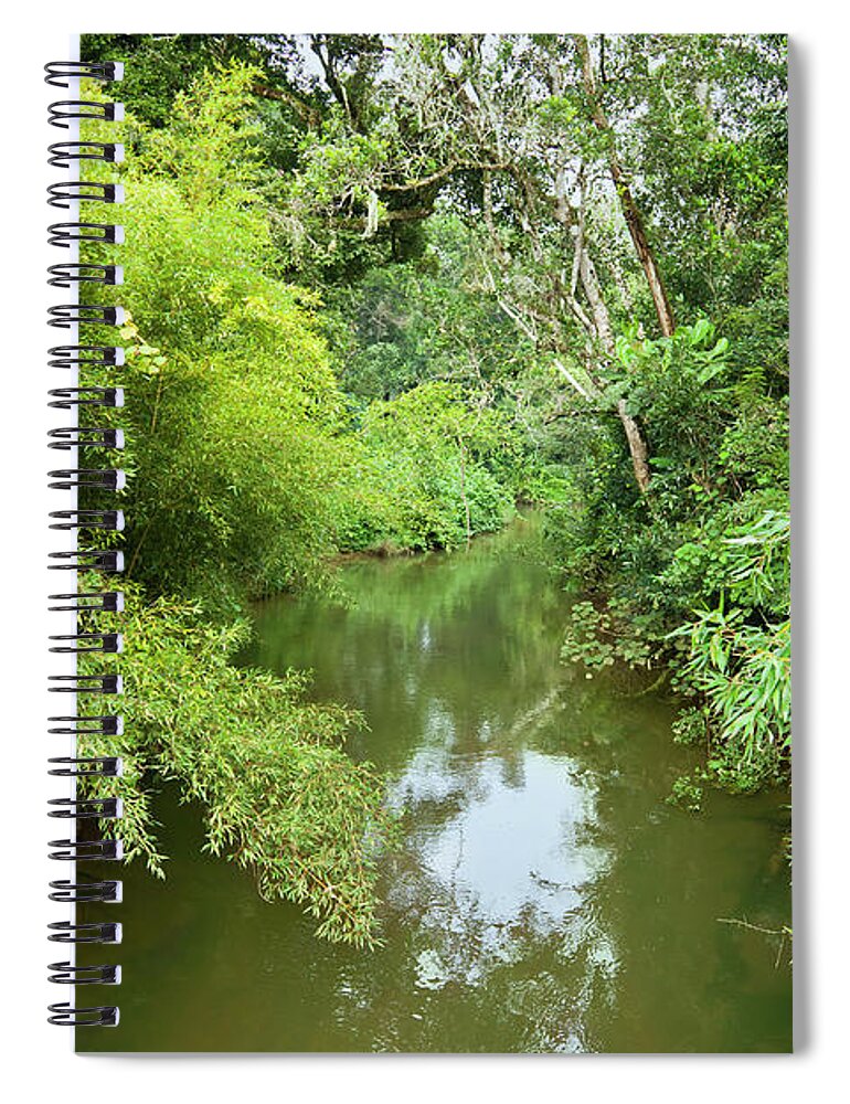 Tropical Rainforest Spiral Notebook featuring the photograph Stream Tropical Rainforest At by Soopysue