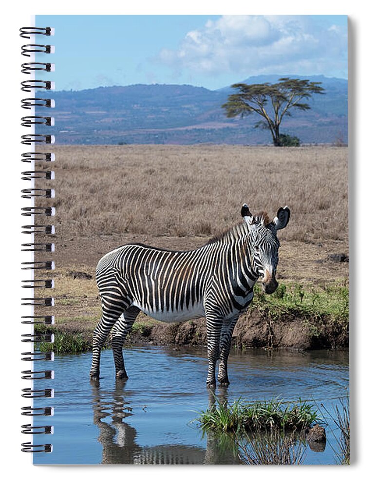 Wildlife Spiral Notebook featuring the photograph Striking A Pose by Sandra Bronstein