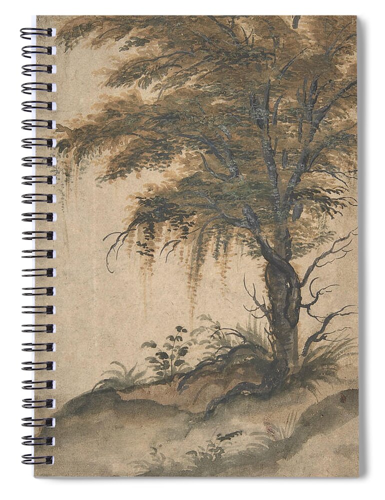 16th Century Art Spiral Notebook featuring the drawing Study of a Tree by Marten van Valckenborch