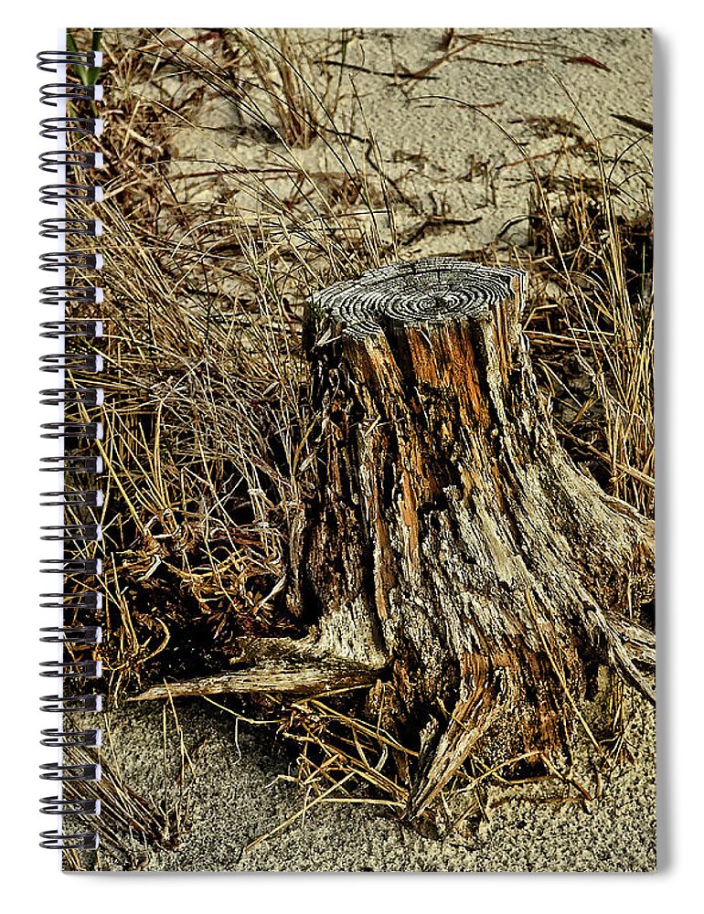 Stump Spiral Notebook featuring the photograph Stump at the Beach by Maggy Marsh