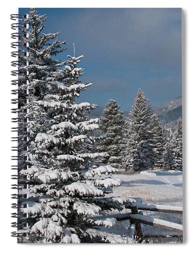 Winter Spiral Notebook featuring the photograph Stunning Colorado Winter Morning by Cascade Colors