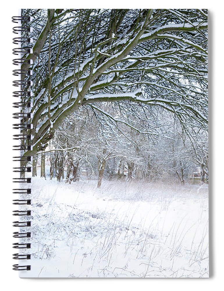 Norfolk Spiral Notebook featuring the photograph Stunning forest snow winter scene by Simon Bratt