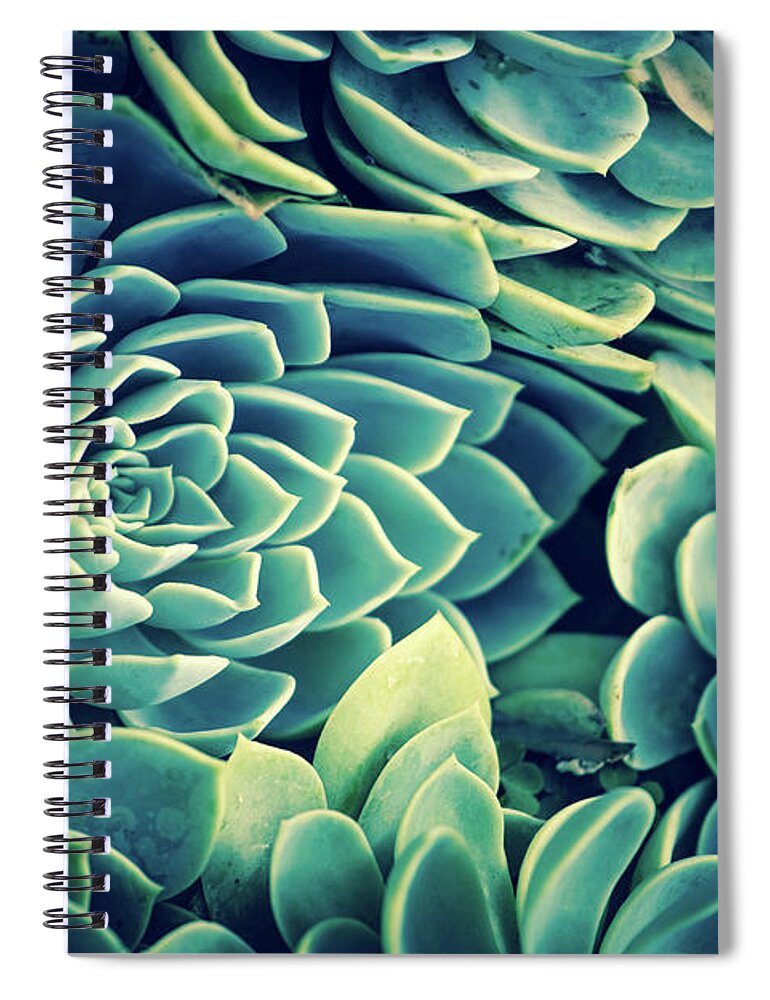 Succulent Spiral Notebook featuring the photograph Succulent by Becqi Sherman
