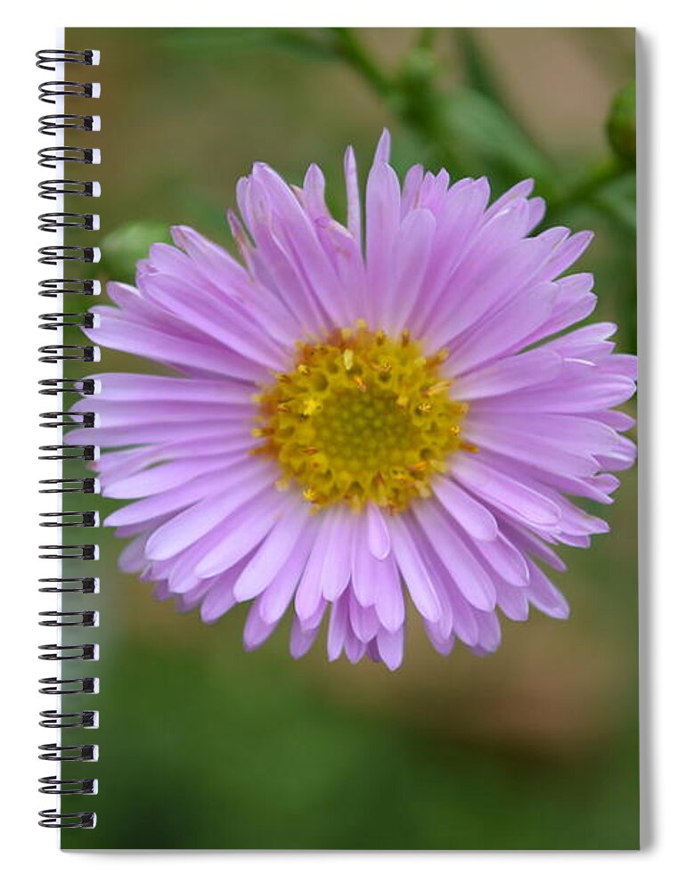 Flower Spiral Notebook featuring the photograph Summer Beauty by Carol Eliassen