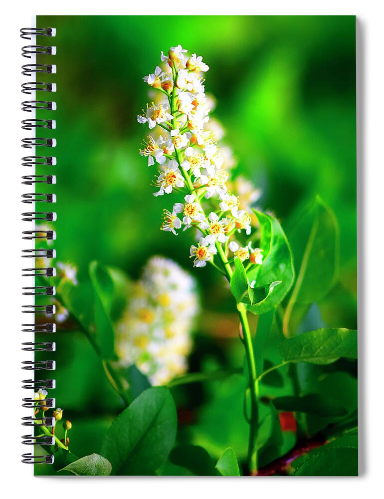 Colorado Spiral Notebook featuring the photograph Summer Flowers 20170101-27 Rowan Lyford by Rowan Lyford