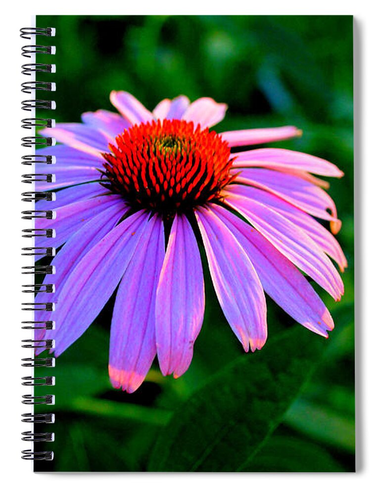 Photograph Spiral Notebook featuring the photograph Summer Garden Cone Flower by Janis Kirstein